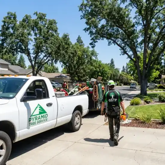 AAA Tree Experts truck arriving at a Johns Creek residential job