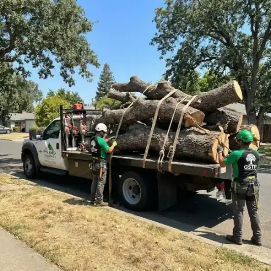 Tree service truck loaded with branches after a Johns Creek job