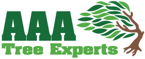 AAA Tree Experts